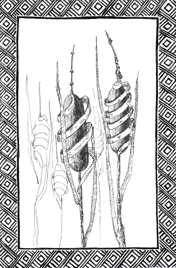 Slide 42